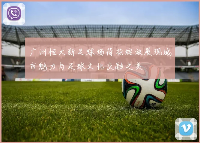 广州恒大新足球场荷花绽放展现城市魅力与足球文化交融之美