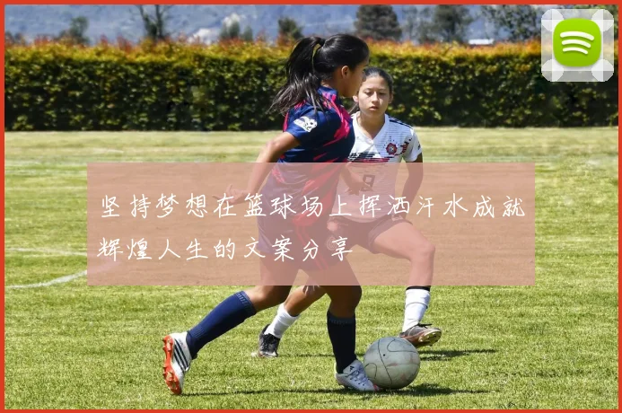 坚持梦想在篮球场上挥洒汗水成就辉煌人生的文案分享