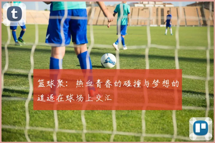 篮球聚：热血青春的碰撞与梦想的追逐在球场上交汇