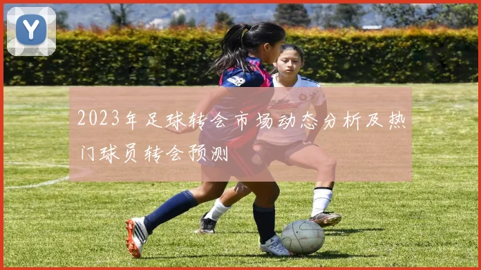 2023年足球转会市场动态分析及热门球员转会预测